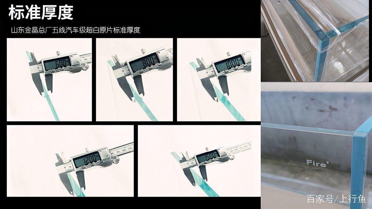 粗線銀板魚(yú)和龍魚(yú)混養(yǎng)需要多大的魚(yú)缸（粗線銀板魚(yú)和龍魚(yú)混養(yǎng)需要注意的事項(xiàng)）
