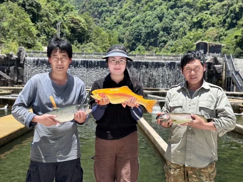 還有哪些龍魚養殖基地值得關注（中國龍魚養殖基地、日本龍魚養殖基地、澳大利亞龍魚養殖基地） 還有哪些龍魚養殖基地值得關注（中國龍魚養殖基地、日本龍魚養殖基地、澳大利亞龍魚養殖基地） 龍魚百科 第7張