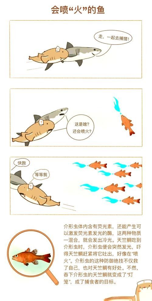 火龍魚如何應對天敵？（火龍魚如何應對多種天敵威脅） 火龍魚如何應對天敵？（火龍魚如何應對多種天敵威脅） 龍魚百科 第6張