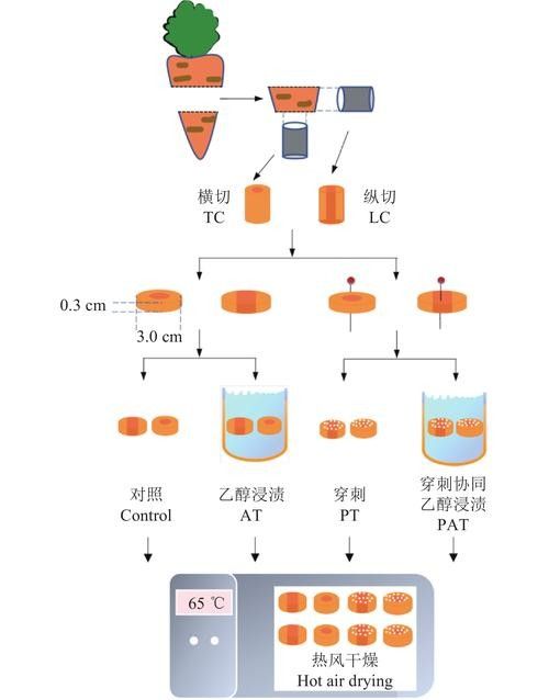 火龍魚如何應對天敵？（火龍魚如何應對多種天敵威脅） 火龍魚如何應對天敵？（火龍魚如何應對多種天敵威脅） 龍魚百科 第1張
