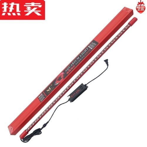 如何選擇適合純血紅龍魚的魚缸？（適合純血紅龍魚的魚缸選擇）