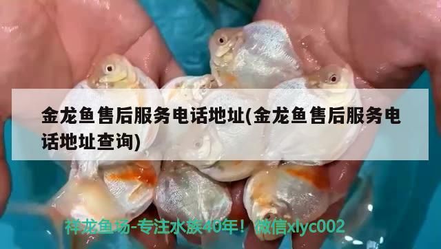 金龍魚售后服務電話地址(金龍魚售后服務電話地址查詢)