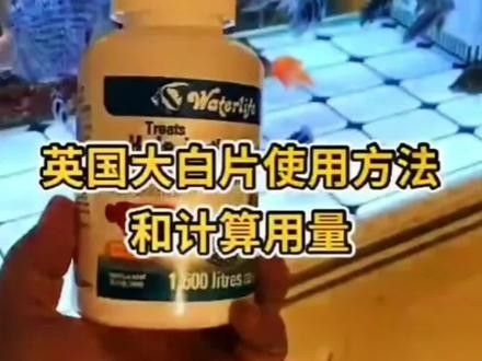 龍魚喂活泥鰍后,龍魚喂了活泥鰍后如何預防穿腸風險,龍魚喂了活泥鰍后如何急救? 龍魚百科 第1張 龍魚喂活泥鰍后,龍魚喂了活泥鰍后如何預防穿腸風險,龍魚喂了活泥鰍后如何急救? 龍魚喂活泥鰍后,龍魚喂了活泥鰍后如何預防穿腸風險,龍魚喂了活泥鰍后如何急救? 龍魚百科 第1張