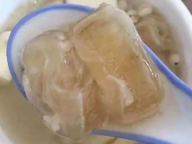 金龍魚魚膠和黃花魚魚膠哪個(gè)更滋補(bǔ)（金龍魚膠和黃花魚魚膠哪個(gè)好）