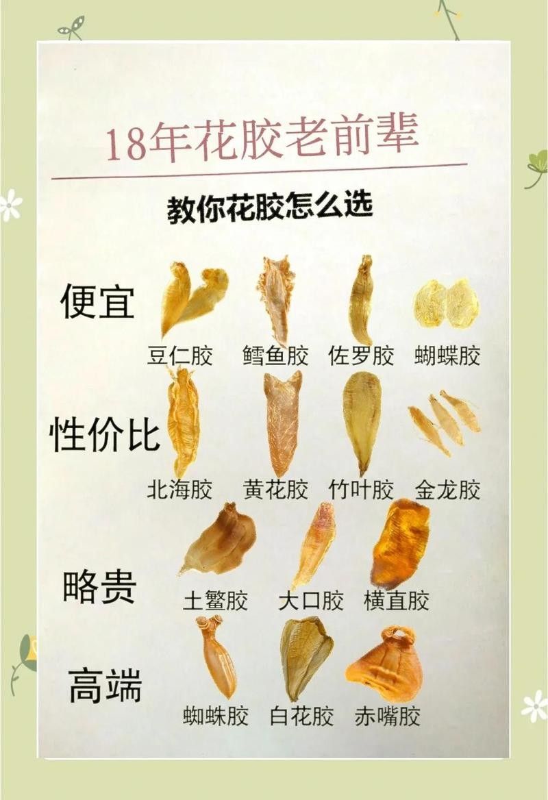 金龍魚魚膠和黃花魚魚膠哪個(gè)更滋補(bǔ)（金龍魚膠和黃花魚魚膠哪個(gè)好）