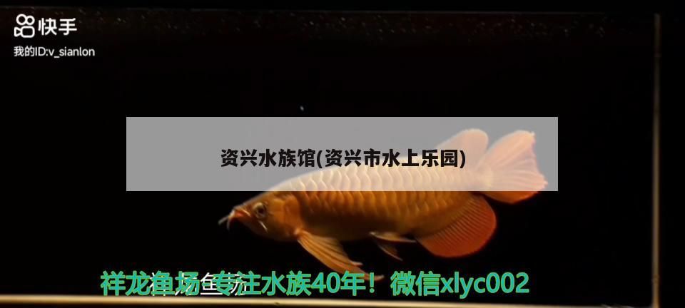 資興水族館(資興市水上樂園)(湖南省資興水族館是一個集觀賞海洋生物、娛樂為一體的現代化芙蓉) 觀賞魚百科 第1張 資興水族館(資興市水上樂園)(湖南省資興水族館是一個集觀賞海洋生物、娛樂為一體的現代化芙蓉) 資興水族館(資興市水上樂園)(湖南省資興水族館是一個集觀賞海洋生物、娛樂為一體的現代化芙蓉) 觀賞魚百科 第1張