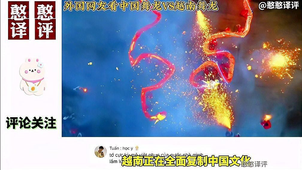 請詳細描述一下越南的舞龍表演（越南舞龍表演是一種集文化、歷史、娛樂于一體的表演形式） 請詳細描述一下越南的舞龍表演（越南舞龍表演是一種集文化、歷史、娛樂于一體的表演形式） 龍魚百科 第2張