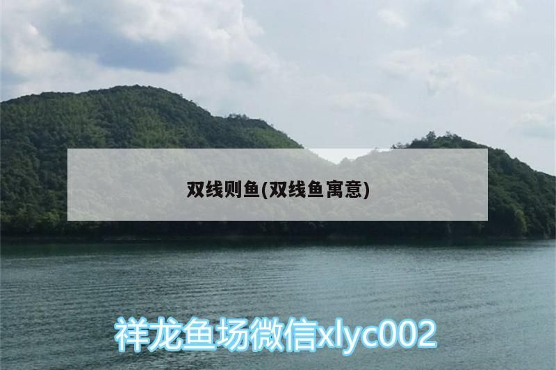 雙線則魚(雙線魚寓意)（雙線則魚的寓意）