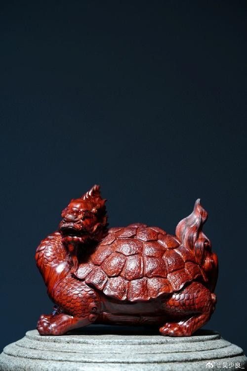 龍龜圖片如何保養(yǎng)？（關于龍龜?shù)谋ｐB(yǎng)建議） 龍龜圖片如何保養(yǎng)？（關于龍龜?shù)谋ｐB(yǎng)建議） 龍魚百科 第17張