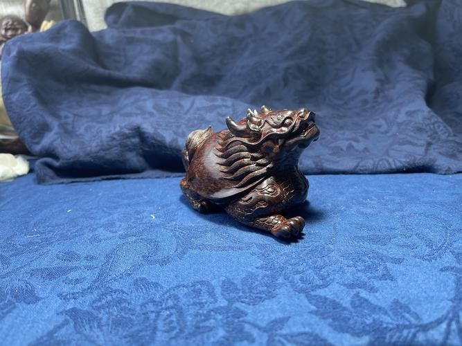 龍龜圖片如何保養(yǎng)？（關于龍龜?shù)谋ｐB(yǎng)建議） 龍龜圖片如何保養(yǎng)？（關于龍龜?shù)谋ｐB(yǎng)建議） 龍魚百科 第21張