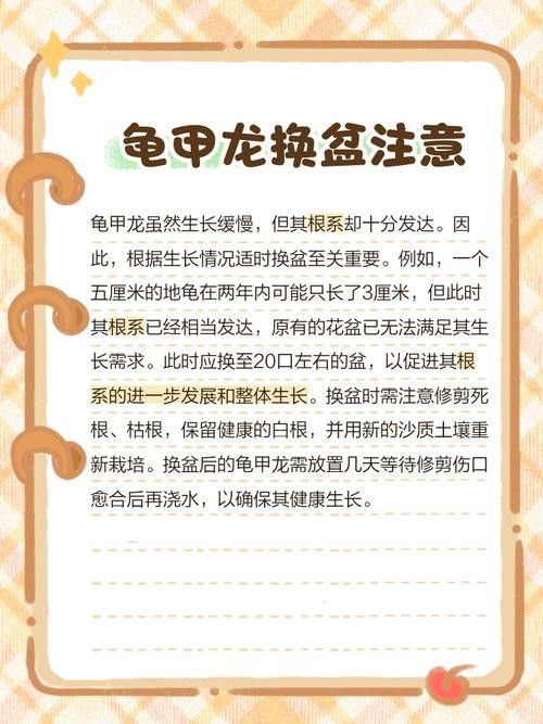 龍龜圖片如何保養(yǎng)？（關于龍龜?shù)谋ｐB(yǎng)建議） 龍龜圖片如何保養(yǎng)？（關于龍龜?shù)谋ｐB(yǎng)建議） 龍魚百科 第37張