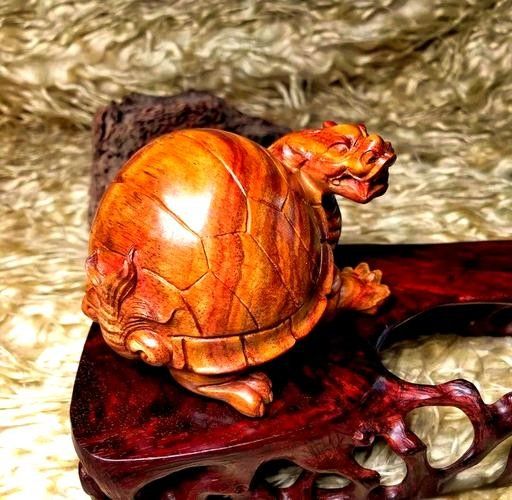 龍龜圖片如何保養(yǎng)？（關于龍龜?shù)谋ｐB(yǎng)建議） 龍龜圖片如何保養(yǎng)？（關于龍龜?shù)谋ｐB(yǎng)建議） 龍魚百科 第36張