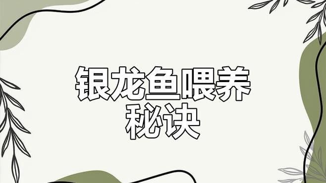 哪個品牌的龍魚凍食口碑最好（口碑最好的龍魚凍食品牌排行榜京東龍魚飼料蝦品牌排行榜）