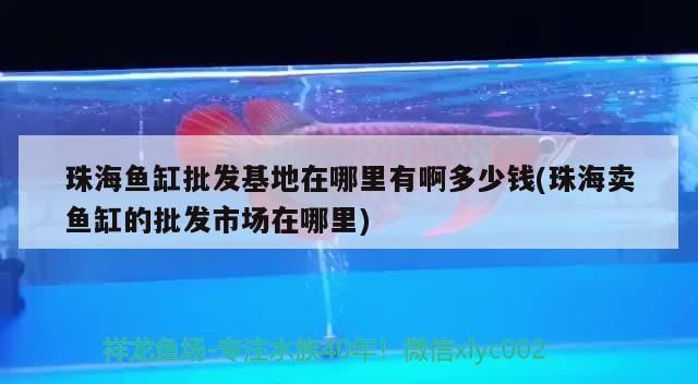 珠海魚缸批發基地在哪里有啊多少錢(珠海賣魚缸的批發市場在哪里)（珠海魚缸批發基地在哪里有）
