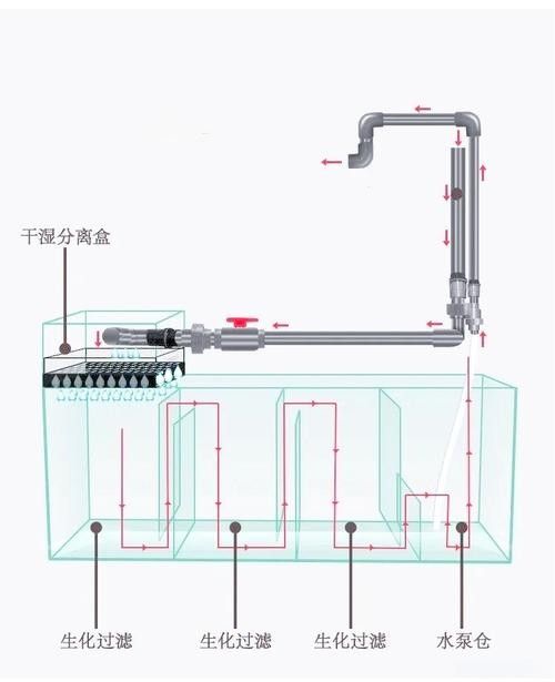 龍魚缸過濾系統(tǒng)如何選擇（選擇龍魚缸過濾系統(tǒng)的幾點(diǎn)建議）