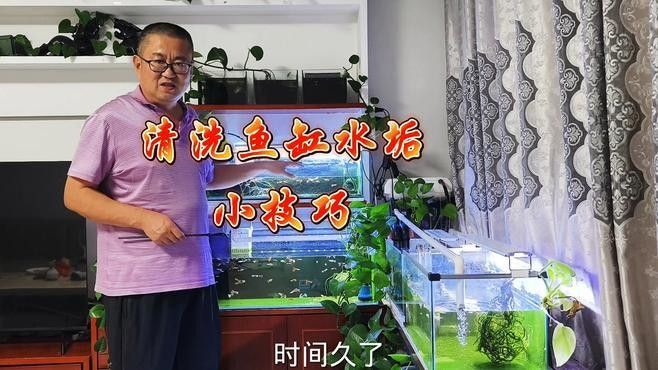 龍魚(yú)缸徹底清理的具體步驟（天山可可:魚(yú)缸糞便清理全攻略）