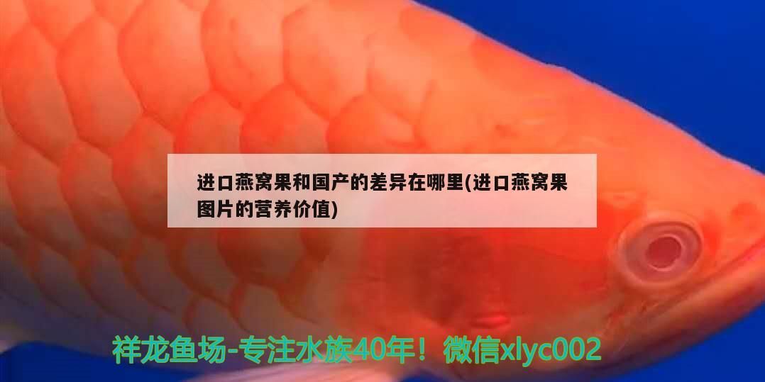 麻煩大家幫忙鑒別一下什么虎？（探秘古代文明中的神秘生物）