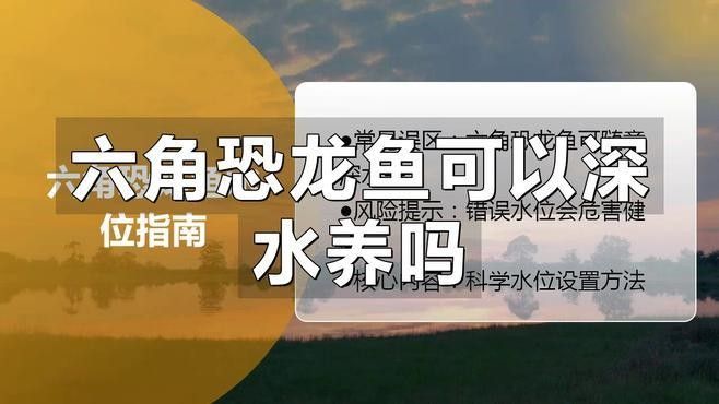 恐龍魚飼養(yǎng)需要哪些注意事項（六角恐龍魚怎么養(yǎng)）