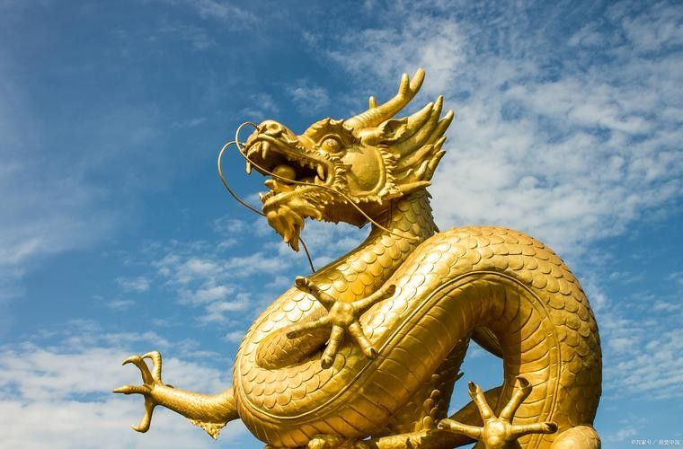 如何區(qū)分古典過背金龍與普通金龍（古典過背金龍與普通金龍的區(qū)別）