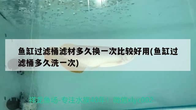 魚缸過濾桶濾材多久換一次比較好用(魚缸過濾桶多久洗一次)（魚缸濾材多久換一次比較好）