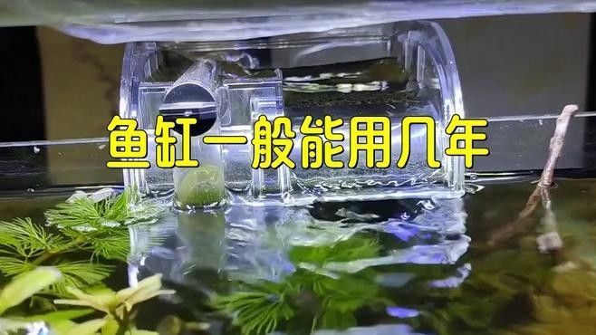 如何判斷魚缸是否在保修期內？（如何確定魚缸是否仍在保修期內）
