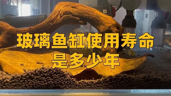 如何判斷魚缸是否在保修期內？（如何確定魚缸是否仍在保修期內）