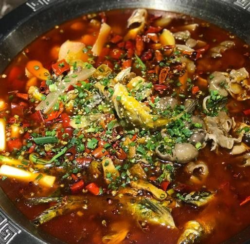 眉山最好吃的魚（來眉山品嘗最好吃的魚不僅僅是口腹之欲，更是一種文化體驗）