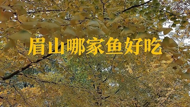 眉山最好吃的魚（來眉山品嘗最好吃的魚不僅僅是口腹之欲，更是一種文化體驗）