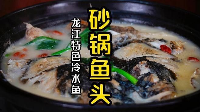 有哪些魚種不適合與七彩神仙魚混養(yǎng)，七彩神仙魚混養(yǎng)的注意事項(xiàng)