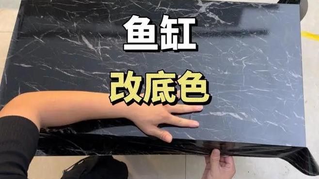 金龍魚缸底色更換步驟（金龍魚缸底色怎么更換？）