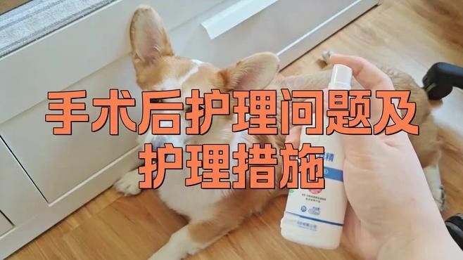 手術后多久開始護理（富媒體素材庫手術后多久開始護理**手術后多久開始護理） 手術后多久開始護理（富媒體素材庫手術后多久開始護理**手術后多久開始護理） 龍魚百科 第2張