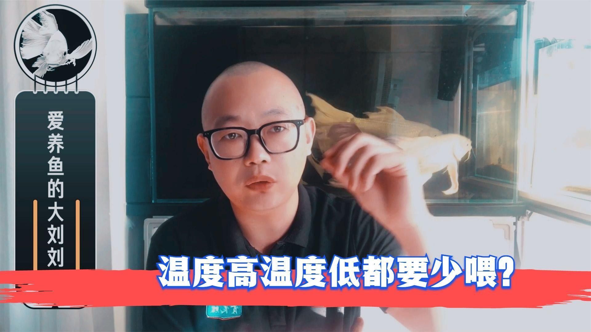 雷龍魚在31℃水溫下如何增氧（雷龍魚在31℃水溫下增氧的方法） 雷龍魚在31℃水溫下如何增氧（雷龍魚在31℃水溫下增氧的方法） 龍魚百科 第3張