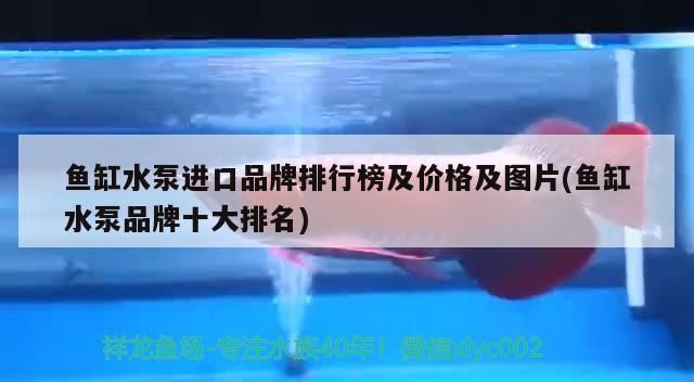 魚缸水泵進口品牌排行榜及價格及圖片(魚缸水泵品牌十大排名)（魚缸水泵進口品牌排行榜） 魚缸水泵進口品牌排行榜及價格及圖片(魚缸水泵品牌十大排名)（魚缸水泵進口品牌排行榜） 觀賞魚百科