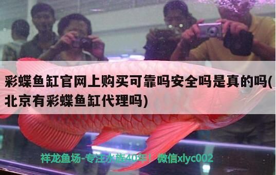 彩蝶魚缸官網(wǎng)上購(gòu)買可靠嗎安全嗎是真的嗎(<strong><mark>北京</mark></strong>有彩蝶魚缸代理嗎)（彩蝶魚缸官網(wǎng)上購(gòu)買可靠嗎）