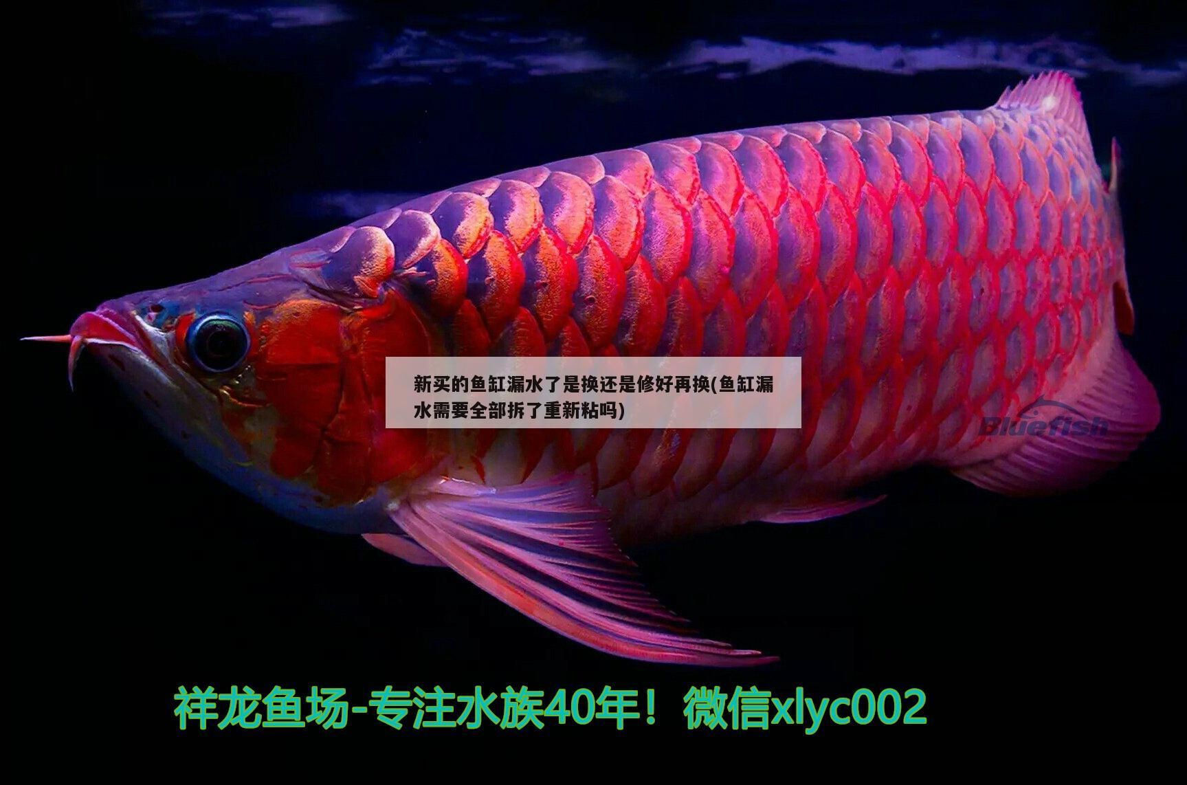 新買的魚缸漏水了是換還是修好再換(魚缸漏水需要全部拆了重新粘嗎)（新買的魚缸漏水怎么辦）