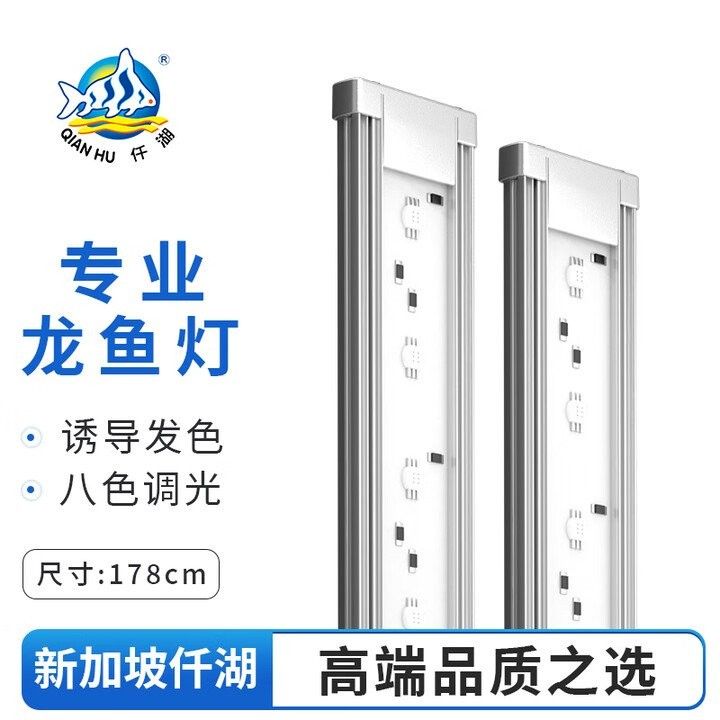 龍魚側(cè)燈一般選擇多少瓦（——龍魚側(cè)燈使用方法）