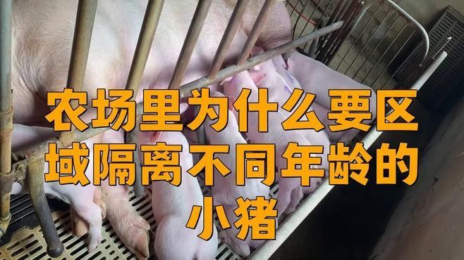 混養時應該如何設置隔離區（如何設置有效的隔離區）