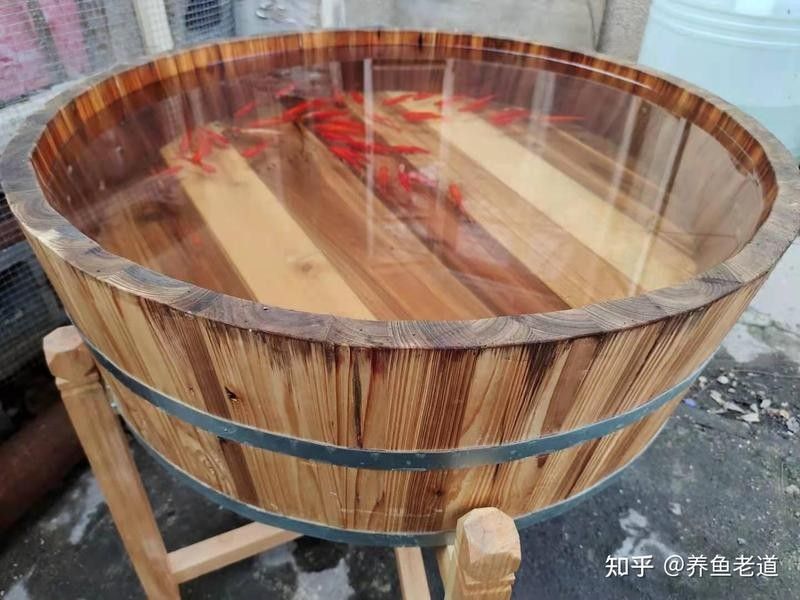 龍魚恢復期間需要多長時間換水（養魚老道，魚缸換水別再“憑感覺”!） 龍魚恢復期間需要多長時間換水（養魚老道，魚缸換水別再“憑感覺”!） 龍魚百科 第3張
