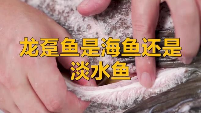 龍躉的分布范圍（【探秘海洋】霸氣的斑魚之王——龍躉）