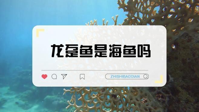 龍躉的分布范圍（【探秘海洋】霸氣的斑魚之王——龍躉）