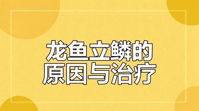 如何預防金龍魚立鱗病？（龍魚立鱗,龍魚鱗片常見的幾種疾病,你知道嗎）