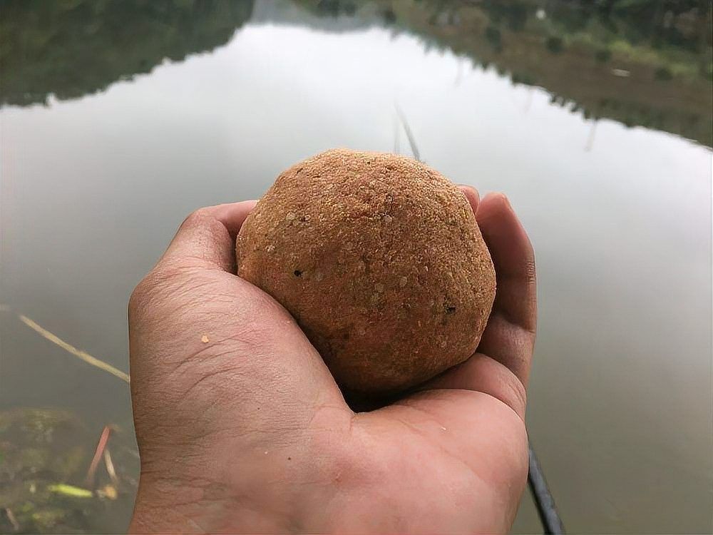 如何處理小魚的殘餌？（如何處理小魚的殘餌）