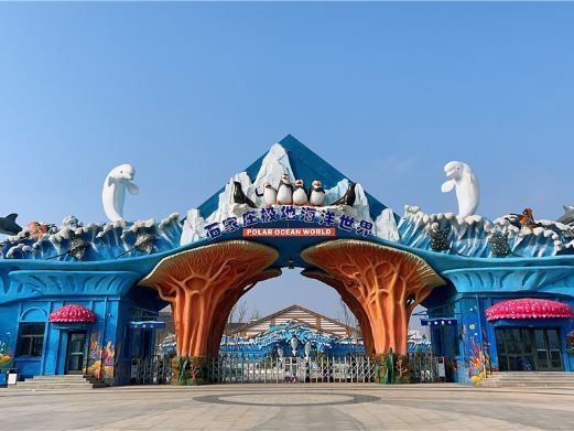 石家莊哪個(gè)水族館龍魚好？祥龍魚場(chǎng)龍魚（石家莊有哪些水族館和龍魚相關(guān)信息可供參考）