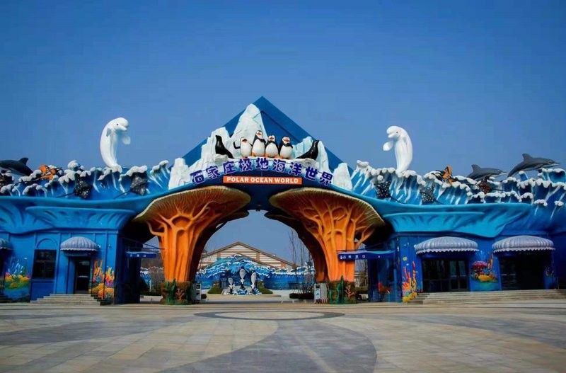 石家莊哪個(gè)水族館龍魚好？祥龍魚場(chǎng)龍魚（石家莊有哪些水族館和龍魚相關(guān)信息可供參考）