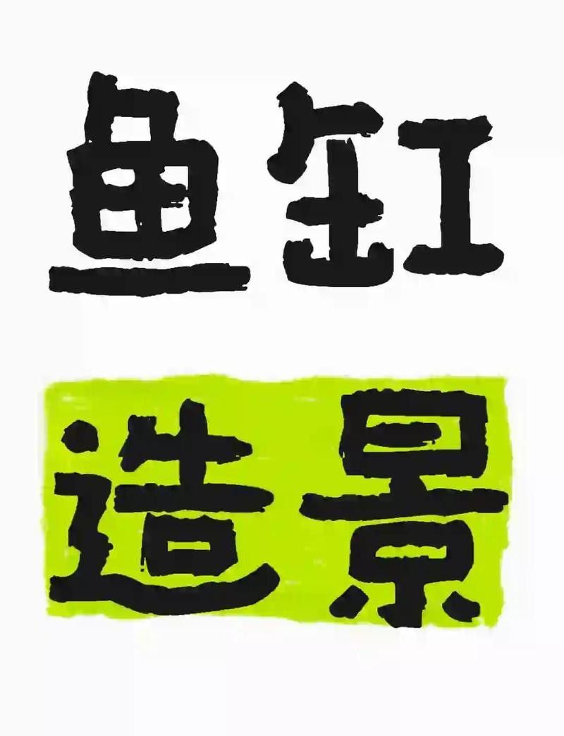 雷龍魚缸造景視頻教程（龍魚缸造景視頻教程）