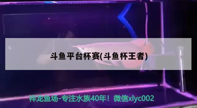 斗魚平臺杯賽(斗魚杯王者)（《王者榮耀》斗魚平臺杯賽的介紹）