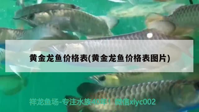 論壇之家如何在論壇之家發布信息，在論壇之家發布信息其實很簡單