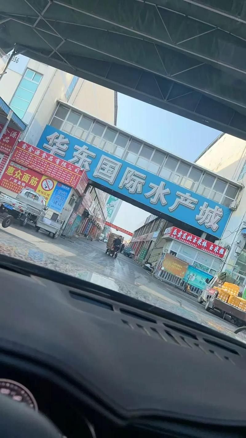 臨沂賣龍魚的地方哪個最好（臨沂賣龍魚的地方有哪些？）