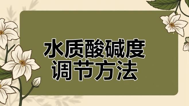 如何調整水質以適應兩種魚類？（養(yǎng)魚新手如何調整水質以適應兩種不同種類的魚類）