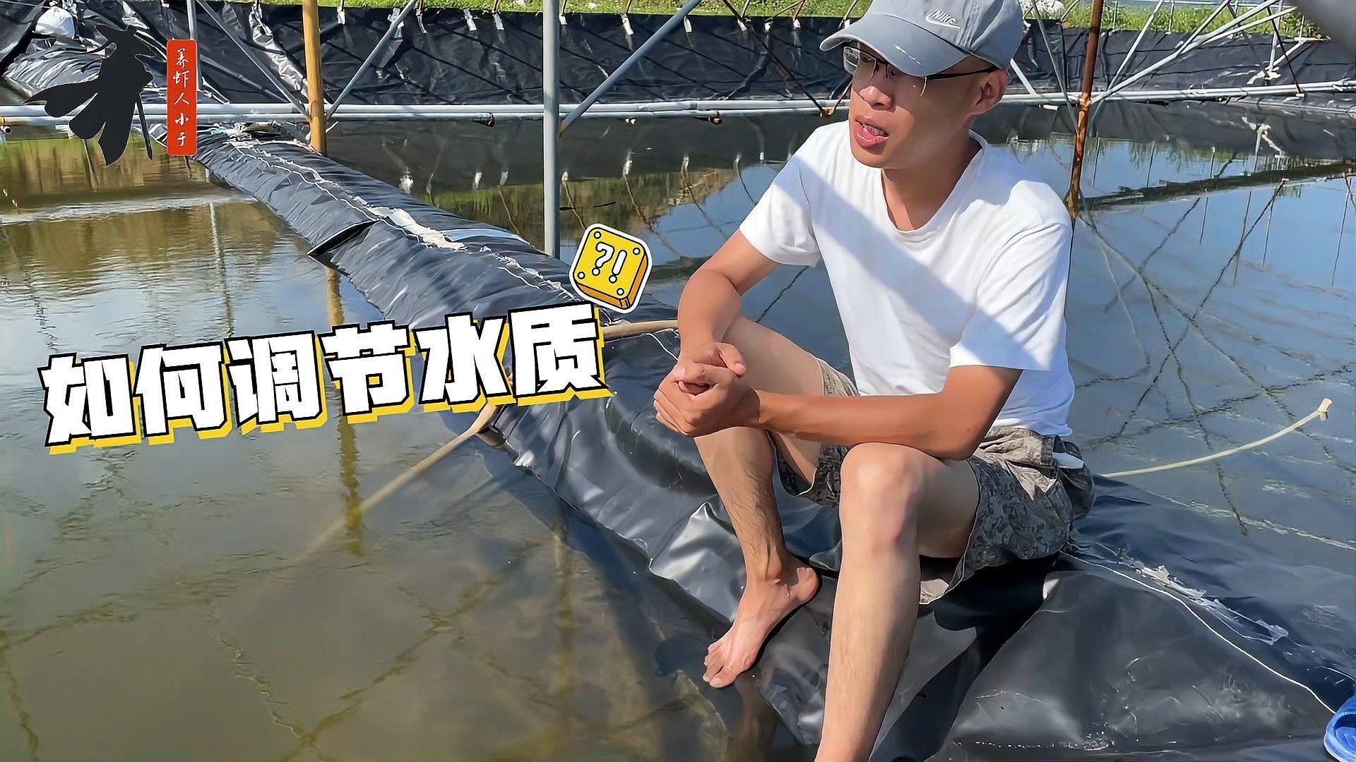 如何調整水質以適應兩種魚類？（養魚新手如何調整水質以適應兩種不同種類的魚類）